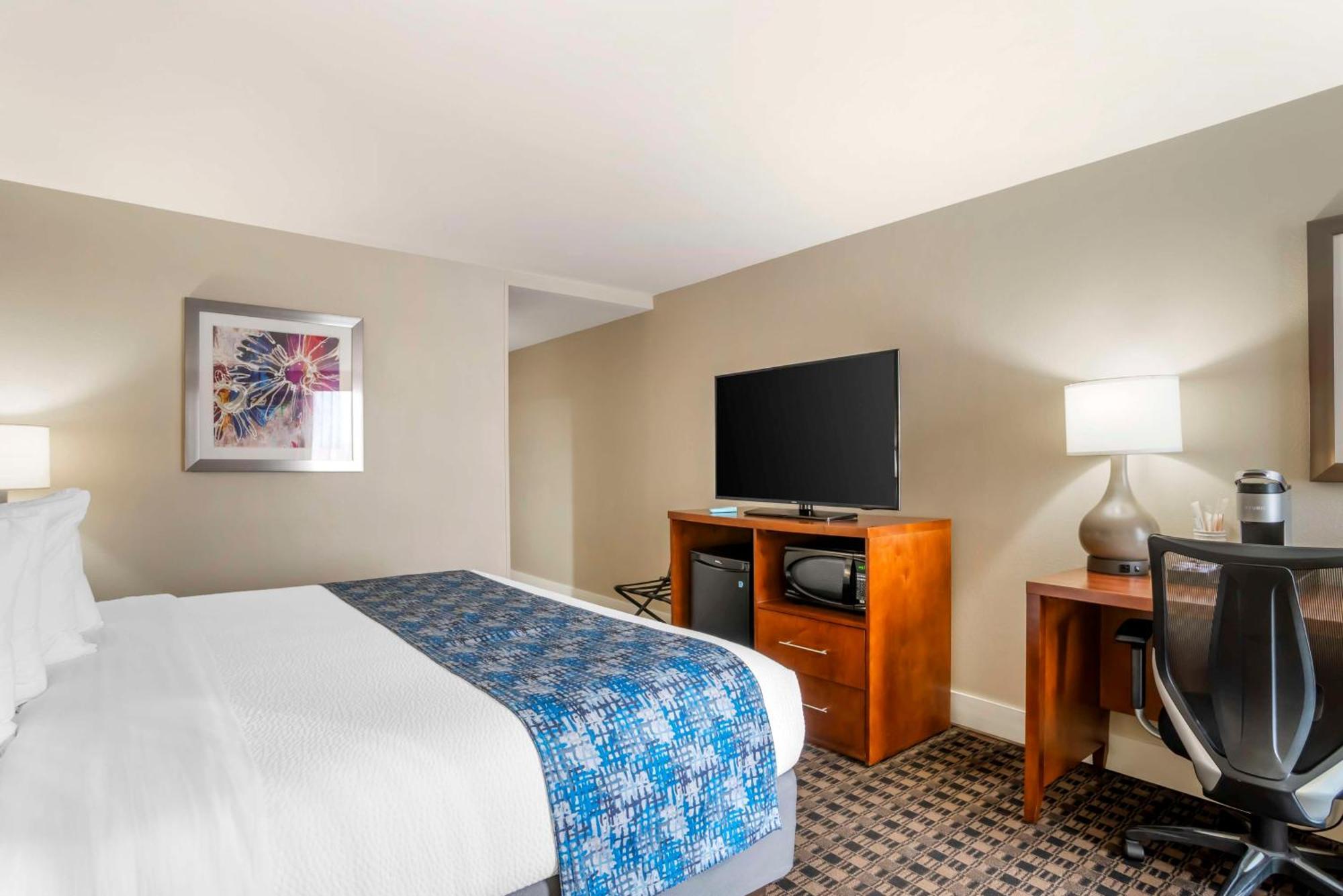 Best Western Plus Greenville I-385 Inn & Suites Zewnętrze zdjęcie
