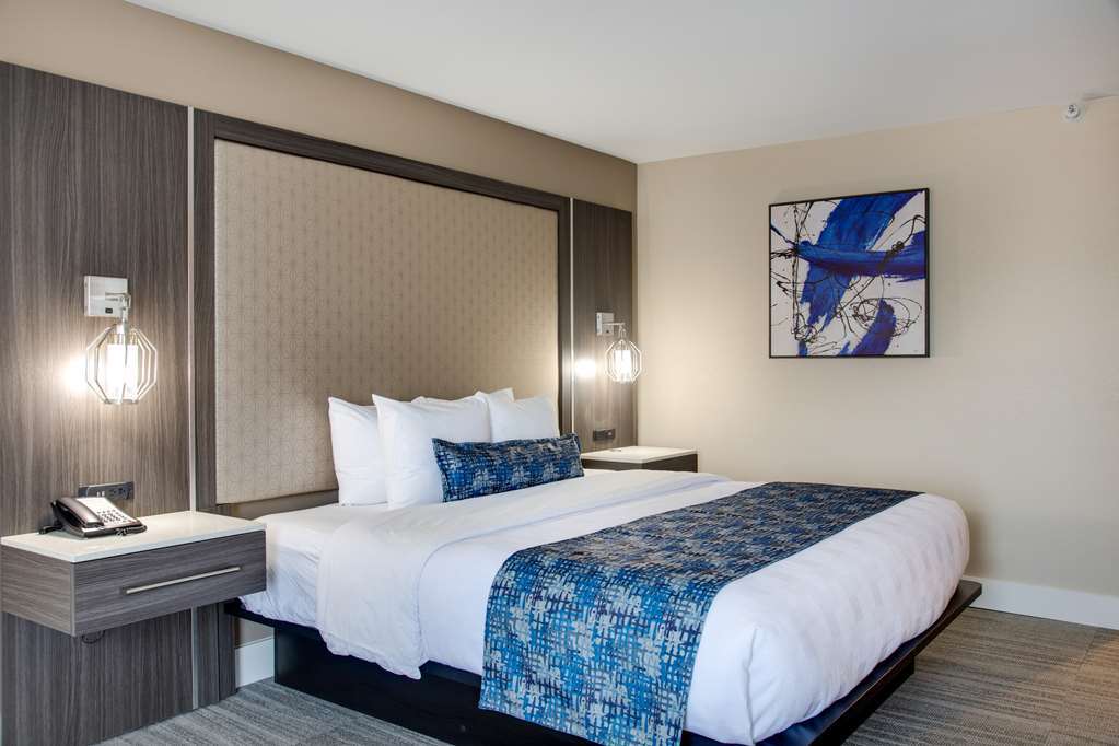 Best Western Plus Greenville I-385 Inn & Suites Pokój zdjęcie