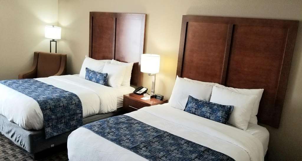 Best Western Plus Greenville I-385 Inn & Suites Pokój zdjęcie